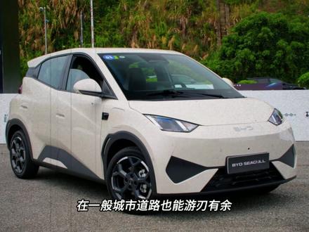 比亚迪智驾再升级,没有背刺,全是诚意 城市领航不敢用,智驾出事谁负责?
比亚迪承诺为城市领航安全兜底1年
#王传福说敢兜底才是真安全
#比亚迪为城市领航及智能泊车兜底