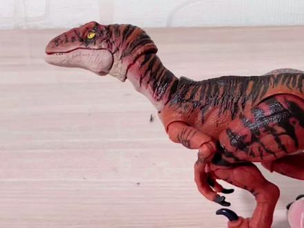 哈蒙德系列-虎斑迅猛龙#哈蒙德系列 #恐龙玩具