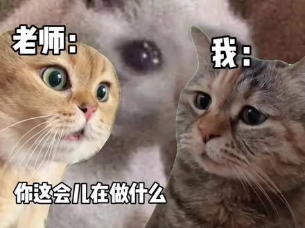 五年级上册🌻第25课 古人谈古书 部编版五年级上册语文课堂笔记解析,课文重点,课后习题答案
#万万没想到 #搞笑 #语文 #日常 #学生时代