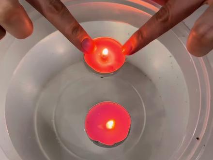 玩游戏也能领真花 #我的花园世界 #玩游戏送真花#送花