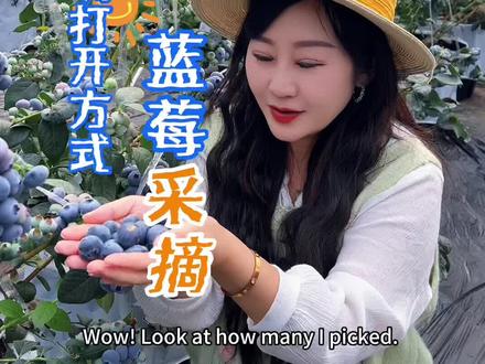 天气好!当然要拉上好朋友们,一起摘蓝莓!现场吃掉!那是真的很新鲜!#没事我就要吃蓝莓 #已经期待春天的第一次野餐了 #蓝莓 #青岛旅游攻略 #周末去哪儿