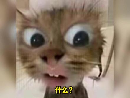 江苏“内斗”重启:比赛第1,友谊第14!#苏超 #苏超南京赛区出征 #领克09 #散装江苏