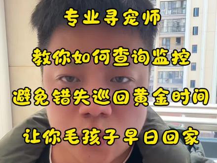不要再瞎看监控了,一个视频让你知道寻宠师的监控怎么查最高效#找猫 #找狗#寻宠团队 #宠物 #抖音小助手dou上热门