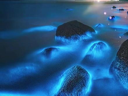 平潭迎来蓝眼泪追泪季,大家攻略都做好了吗? #平潭蓝眼泪 #平潭旅游攻略 #旅行推荐官 #平潭蓝眼泪旅游季 #2026我要去福建平潭岛