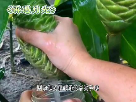 铭:再遇月光#科技看亚运用中国移动 #极度舒适