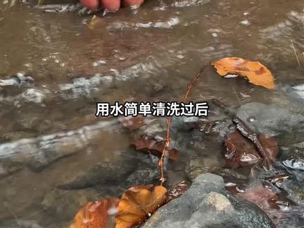 荒野生存小技巧,一起来看看 #野外生存 #荒野生存 #生存技巧