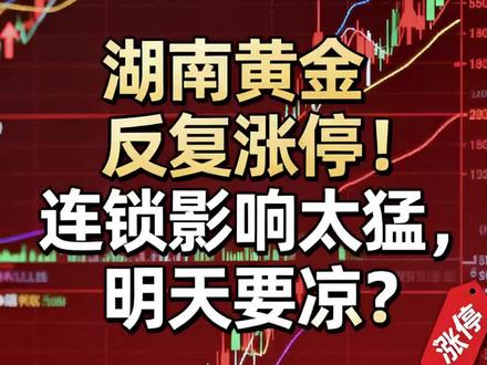湖南黄金反复涨停!连锁影响太猛,明天要凉?#晓程科技 #湖南黄金 #黄金概念股 #黄金行情分析 #财经新闻