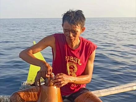 没事儿可别钓鱿鱼,小心被喷一脸黑 #墨鱼 #鱿鱼喷墨