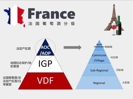 市面上的葡萄酒那么多,有没有一些标识可以帮助快速判断酒的好坏?今天我们针对最热门的法国葡萄酒,告诉你如何一眼鉴别葡萄酒的级别。#法国葡萄酒 #葡萄酒等级 #AOC