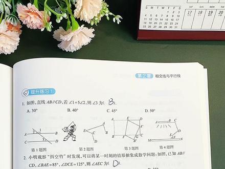 初一下册数学要想考高分,几何是关键,这本几何专项训练,同步课本,每天练习15分钟,吃透一个几何知识点#初中数学 #学霸秘籍 #几何#同步课本