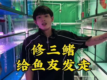 给鱼修一下三鳍,发走。