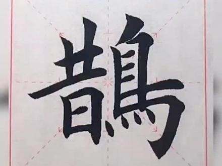 第390集:偏旁80鸟字旁例字鹊。关注我#和我一起学书法 #书法