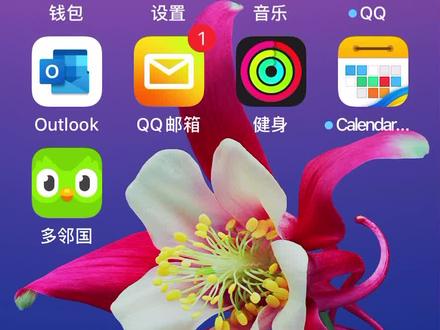 葡萄牙语学习软件
#多邻国 #小语种