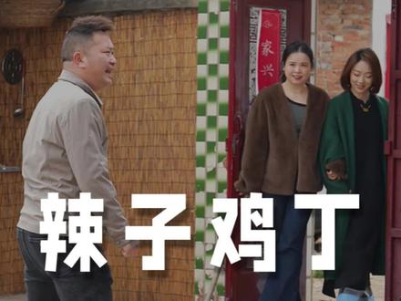 辣子鸡丁 老乡们,吃饭了吗?表妹又来俩。#大牌试用 #新农人计划2025 #三农故事 #人间烟火 #乡村生活也可以很治愈