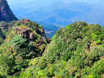 北回归线,北纬23.5度,一条神奇神秘而又神圣的纬度线。因为它恰好位于地球地轴的黄金分割点上。在这个纬度上,有着太多的神奇之处:世界上最大的撒哈拉沙漠、最深的马里亚纳海沟、最高的珠穆朗马峰、最鬼异的百慕大三角、最深奥的玛雅文明、最不可思议的埃及金字塔等。北回归线从西往东横穿我国云南、广西、广东和台湾四省,广西来宾市的金秀县被称为世界瑶都,大瑶山是北回归线附近的神奇绿带,林木繁茂,郁郁葱葱,雨量充沛,物产丰富,圣堂山、莲花山、清水河,还有许多充满能量的绿色植物和药材,甜茶,瑶浴……#广西 #大瑶山 #登上山顶看美景 #视觉震撼 #旅行推荐官