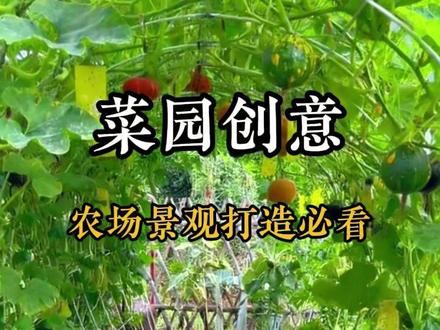 菜园怎么设计才好看?甚至美成花园?用PVC+空心砖打造#规划设计 #创意设计 #农场规划 #农庄规划 #菜园改造