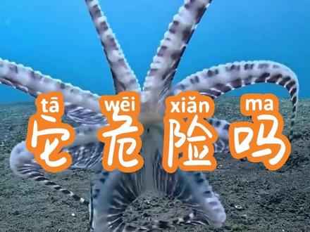 这些动物,看着人畜无害,其实一个比一个狠
#动物科普 #冷门动物 #高风险动物 #涨知识了#动物世界