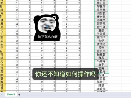 领导非要按TA的名单顺序排序,你还不会?用这个Excel自定义排序,复杂名单3秒排好!#excel技巧 #文员 #职场干货 #每天学习一点点 #办公软件