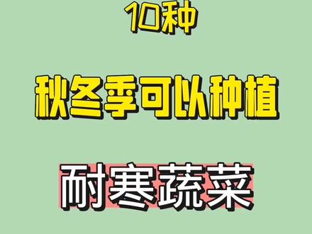 10种秋冬季可以种植的耐寒蔬菜#种子 #蔬菜种植 #自己种的纯天然的绿色蔬菜