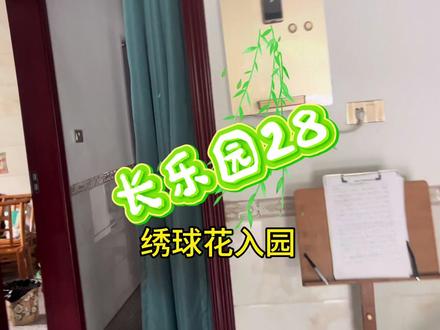 第490集长乐园28绣球花入园 #绣球花入园
#绣球花
四年级花满园