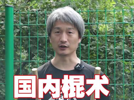 国内棍术和菲律宾短棍的区别 #武术教学 #菲律宾短棍 #白猿双棍