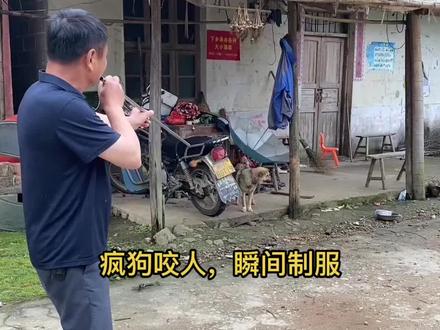 疯狗咬人,瞬间制服!#遵纪守法合法使用麻药