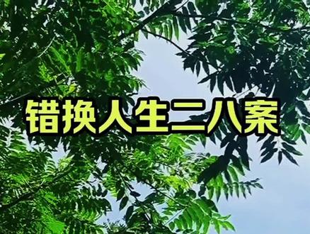 #错换人生 #上热搜 #正能量分享 #助手抖音 @抖音小助手
