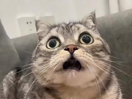 时光大爆炸开启四大时代!这波真的文明大爆炸了!#时光大爆炸