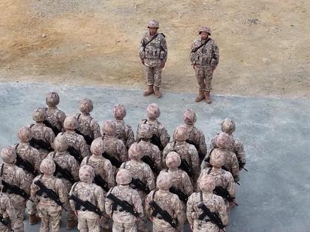 开火!开火!全部命中! #权威发布 #正义使命2025演习