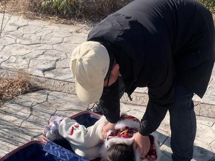 #张予曦#毕雯珺#张予曦国风大典妆造绝美 #张予曦毕雯珺#防拐