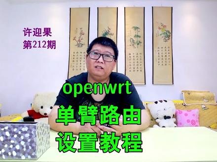 许迎果 第212期 openwrt单臂路由模式设置教程 审2