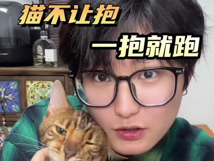 小猫不让抱?一定试试这3招,一周驯服高冷猫#抱猫的正确姿势 #养猫经验分享 #新手养猫 #猫咪 #猫咪的迷惑行为