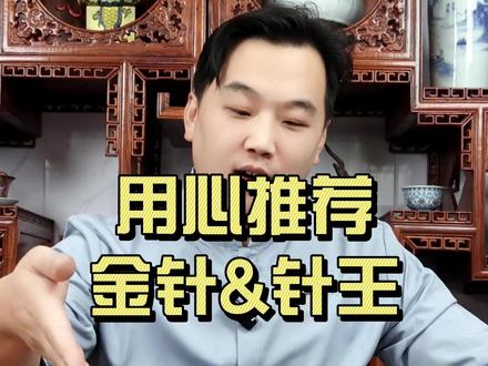 你知道茉莉金针与茉莉针王的区别吗?#茉莉花茶 #茉莉金针 #茉莉针王