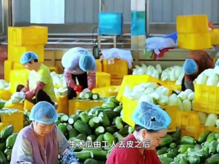 很多人都不知道木瓜用途居然那么广#木瓜丝 #木瓜