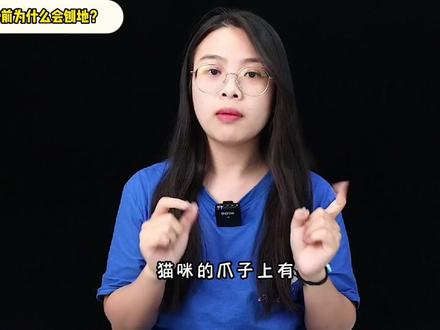 猫咪喝水前为什么会刨地?你想过是为什么吗?#养猫人 #猫咪喝水刨地 #养猫新手 #家有萌宠