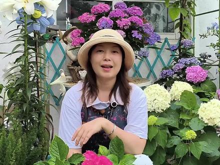 为什么你的绣球今年不开花?原因是什么?晒原因!#绣球修剪 #绣球修剪时间 #绣球修剪养护