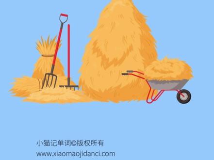 straw 稻草怎么记?趣味记单词。