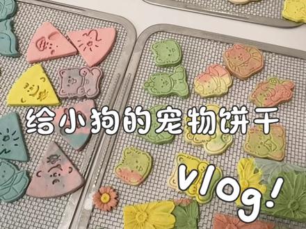 给我的西高地小狗做西高地饼干🤟#宠物饼干 #自制宠物零食 #烘干零食