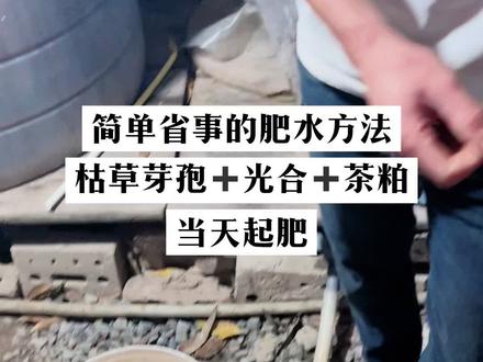简单省事的肥水方法,枯草芽孢➕光合➕茶粕,当天起肥!#南美白对虾 #三农 #水产人