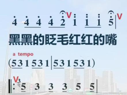 热门新歌《尕连手》#教学简谱#动态视唱#音乐#关注我持续更新……