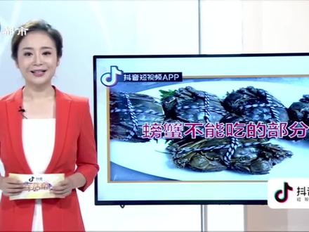 烦人的跳蚤咬的脚腕、腰上全是包,如何彻底根除?