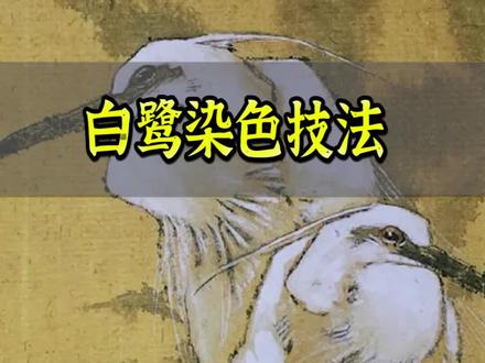 白鹭染色技法#国画 #国画艺术 #水墨写意 #一起学画画 #国画也抖音 #传统文化