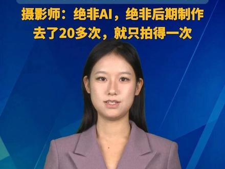 原来结界并非古人凭空想象,#老君山现“灵气护罩”奇观 。摄影师:绝非AI,绝非后期制作! @航拍男孩