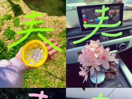 逢春 #春字和花 #醒图 #醒图创作者 #春字和花p图 用画面赋予文字生命力 把大自然装进文字 春这个字怎么p到图片 用汉字打开春天 春天卡片框住春天 #用春字框住春天 一束花的仪式感 春字和花p图教程 捧花见面 捧一束粉嘟嘟花去见春天