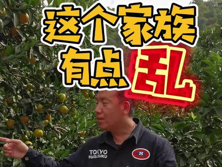 这个家族真心有点乱#萌知计划 #浙江美好推荐官 #导游杭铁头 #共同富裕看浙里 #水果