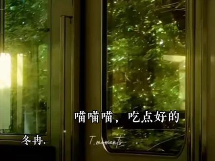#伪装学渣 #朝俞 谢俞:哥…… 贺朝:叫老公 谢俞 :老公