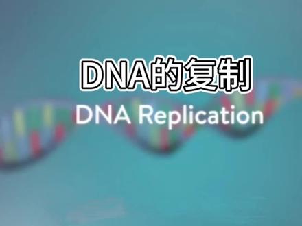 DNA复制的具体过程#上热门 #科普一下 #生物