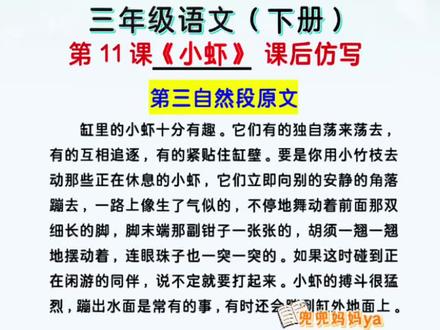 三下语文《小虾》课后仿写小练笔 三年级下册语文第11课《小虾》课后仿写小练笔,收藏背起来吧,知识点开源于橱窗里《学霸速记》#三年级下册语文 #家长收藏孩子受益 #小学语文 #知识点总结 #必考考点