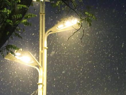 纯音乐Mosaic(镶嵌)