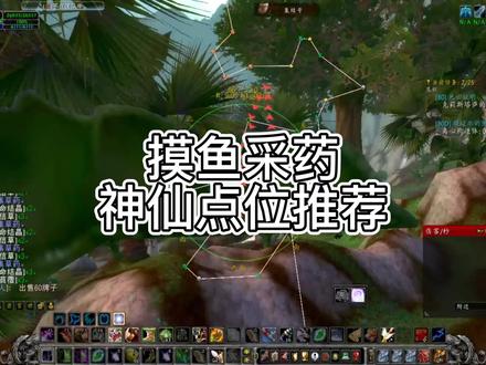采药摸鱼神点位推荐! #巫妖王之怒 #魔兽世界 #我们比你们多一个世界